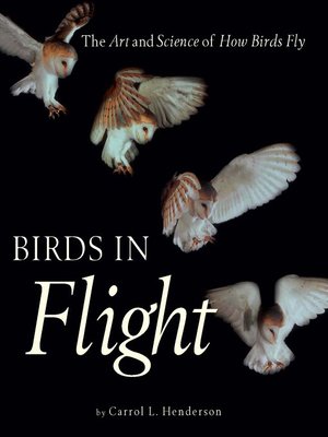 cover image of Birds in Flight